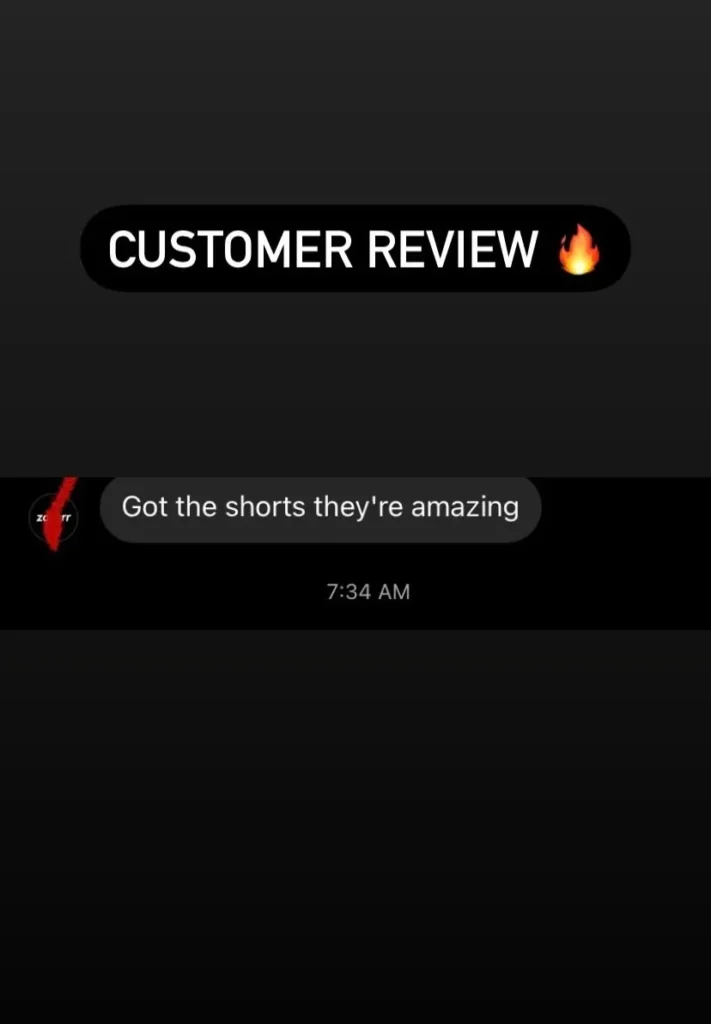 clothing brand review baagh enterprises 9